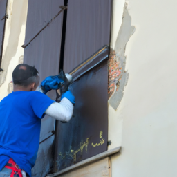 Crépis : optez pour une façade rustique et chaleureuse Luneville